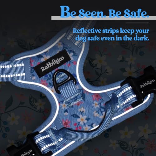 Dog Harness No Pull for Large Dogs with 2 Leash Clips (X-Large / Blue Floral)