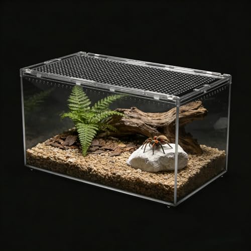 Small Tarantula Enclosure 8×6×4" (A-S(8x6x4in))