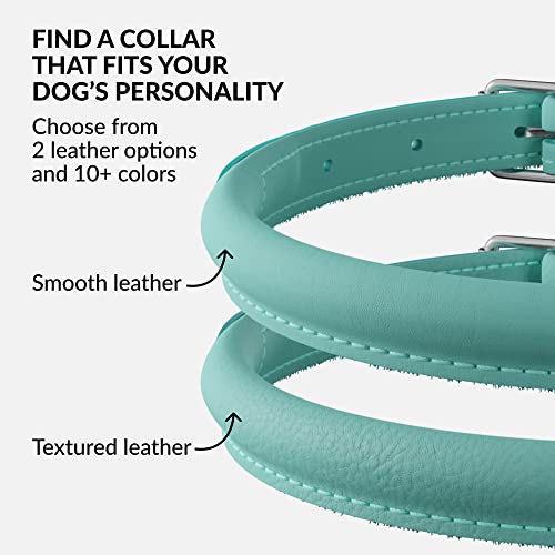 Tangle Free Rolled Leather Dog Collar (Mint Green / XXL)