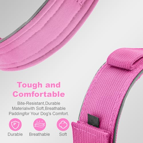 Tactical Dog Collar with IPX8 Waterproof AirTag Holder (Pink / XL(19.5"-24.8"))
