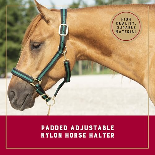 Nylon Horse Halter (Hunter Green / 1" Large Horse)
