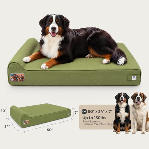 Orthopedic Dog Beds for Extra Large Dogs (XX-Large / Canvas-Green)