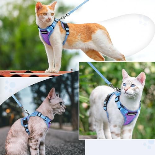 Cat Harness and Leash Set (Purple & Blue / S)