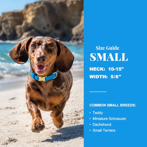 Soft Padded Dog Collar for Small Dogs (Blue / S：Fit 10-15" Neck, Width ⅝")
