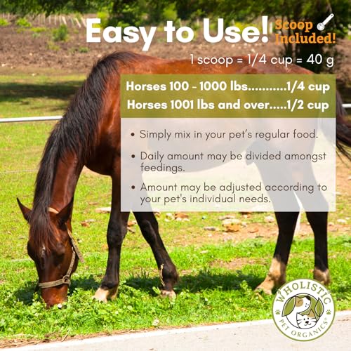Horse Supplement for Total Body Health