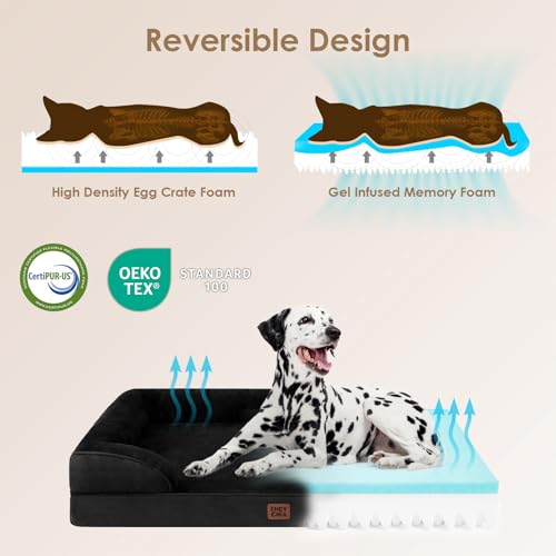 Orthopedic Extra Large Dog Bed (Black / 44.0"l X 32.0"w X 6.5"th)