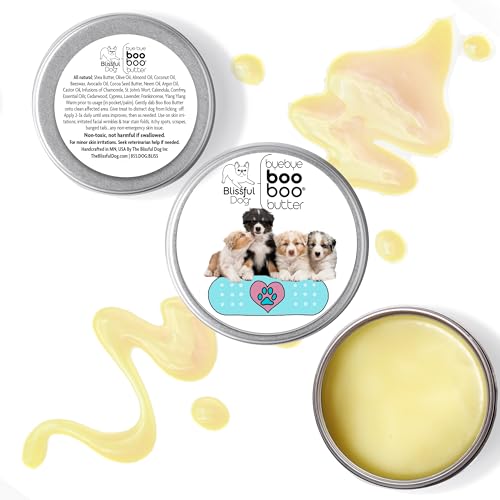 BB-AUSSIE-16OZ Springer Boo Butter (16 Ounce / Australian Shepherd)