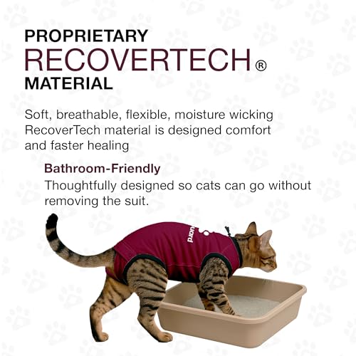 Cat Recovery Suit Female and Male (Maroon / 3XSmall)