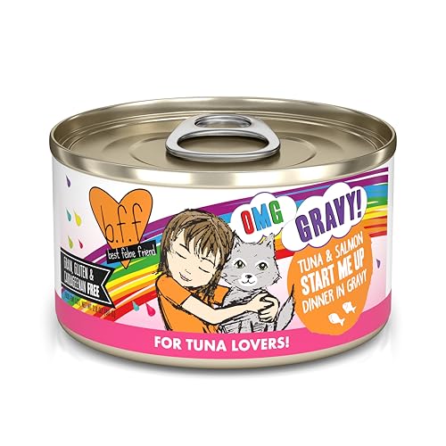 B.F.F. OMG Best Feline Friend Oh My Gravy! (2.8 Ounce (Pack of 12))