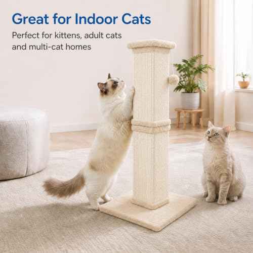 Cat Scratching Post for Indoor Cats (Cream Beige)