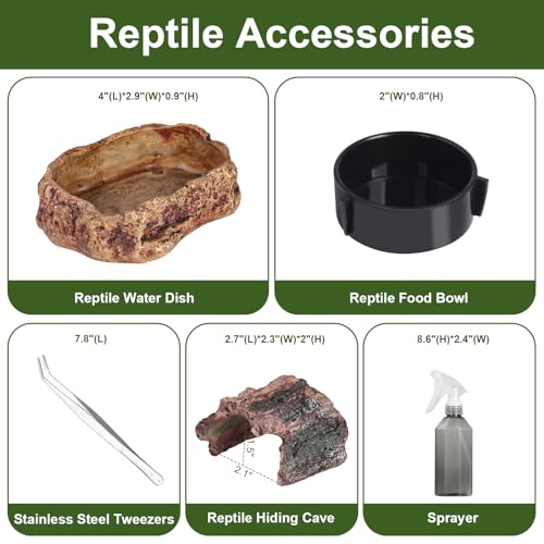 Tarantula Enclosure Spider Terrarium Hermit Crab Tank Starter Kit (M-Starter Kit)