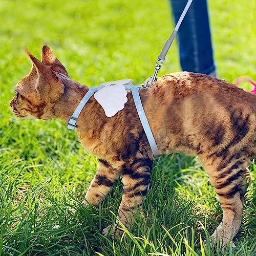 Cat Harness and Leash Set (Sky Blue)