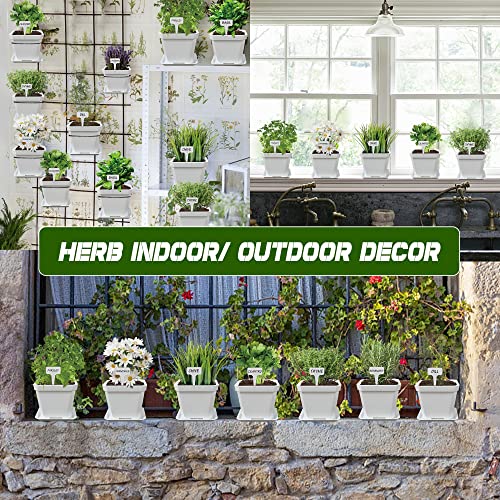 10 Herb Seeds Garden Starter Grow Kit with White Pots (White)
