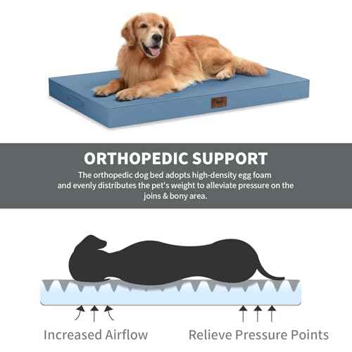 Orthopedic Waterproof Dog Bed for Small Dogs and Cats (Blue / 29.0"L x 18.0"W x 3.0"Th)