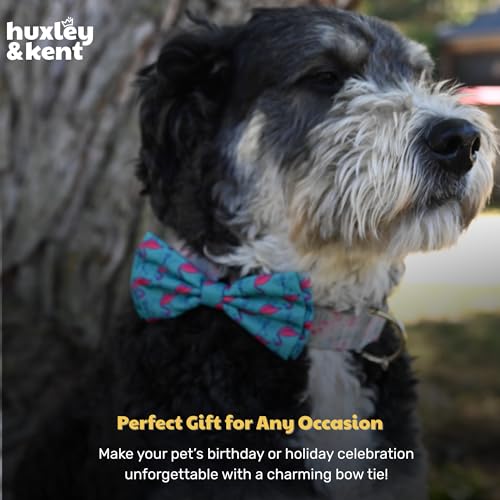 Pet Bow Tie for Dogs & Cats (Large)