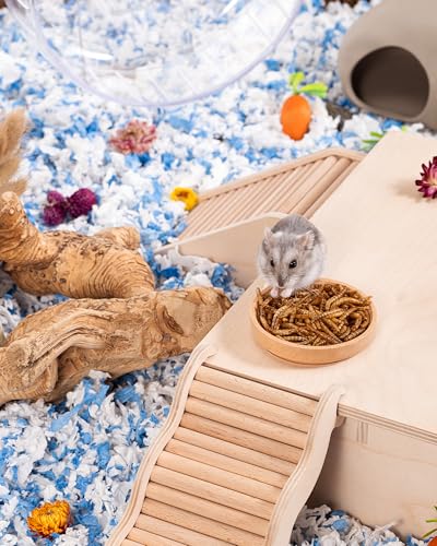 Small Animal Snack & Treats