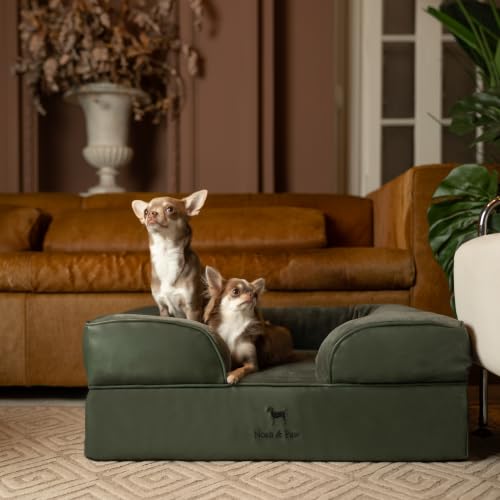 Dog Bed Orthopedic Memory Cooling Foam (Green - LE / Medium)
