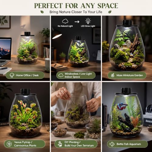 Glass Terrarium Kit with LED Grow Light for Desktop (6.9 x 7.8 Inch)