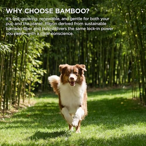 Pee Pads for Small Dogs (22"x22"-50 Count)