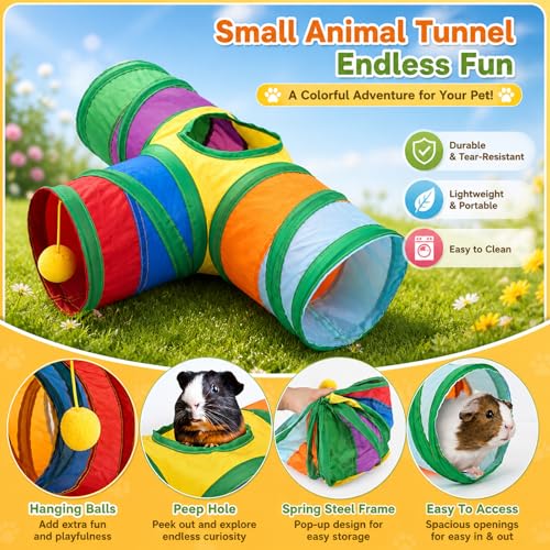 Guinea Pig Tunnel Hideout 3 (Rainbow)
