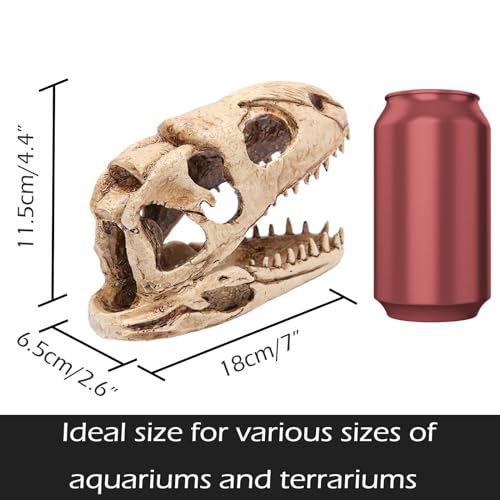 Dinosaur Animal Skull Aquarium Large Décor Cave Decorations Fish Hideout Tank Betta Tarantula Reptile Snake for Terrarium Decor Ornament Bones Halloween (Velociraptor)