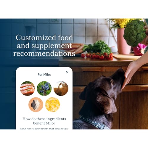 Purina Petivity Advanced Microbiome Analysis Kit for Cats and Dogs (Advanced)