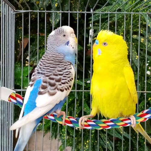 Parrot Rope Climbing Toy 18.5 Inch Cotton Rope Perch for Birds Cage Exercise and Chewing Toy for Parrots Cockatiels (40cm)