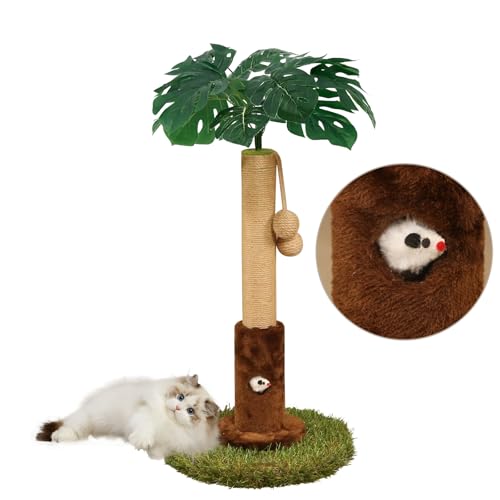 25" Kitten Scratching Post (24.8-Brown / 24.8in)