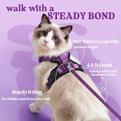 Cat Harness and Leash Set (Xxs / Purple)