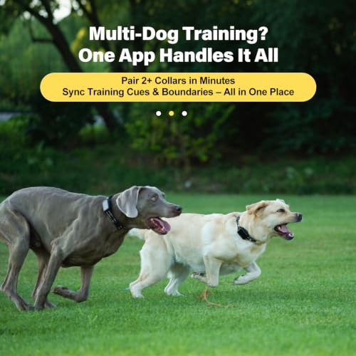 GPS Wireless Dog Collar Fence System (Black)