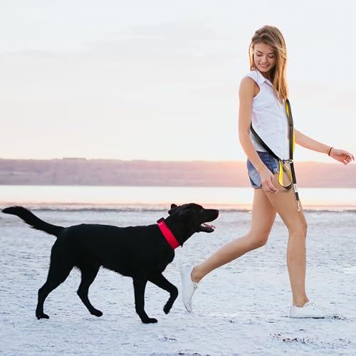 Heavy Duty Dog Leash for Large Dogs (Hot Pink)
