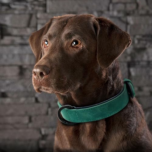 Soft PU Leather Dog Collar (L: Neck 14-18", Width 1" / Green)
