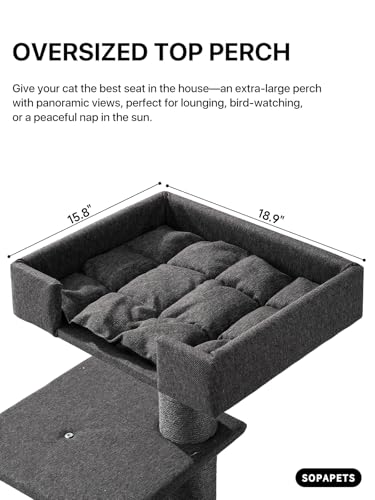 Maine Coon Cat Tree for Indoor Cats Large Adult (Black)