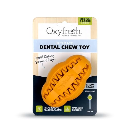 Premium Dog Dental Chew Toy (Large)