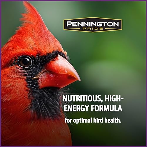 Songbird Nut & Fruit Blend Wild Bird Seed for Outside Feeders (10 lb)