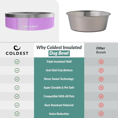 Coldest Dog Bowl (42 oz / Saturns Purple Glitter)