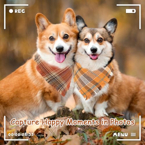 Fall Dog Bandana (Large / Fall)