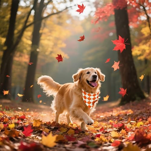 Thanksgiving Fall Dog Bandanas 2 Pack (Fall / Large)