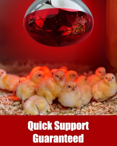 250W R40 Red Heat Lamp Bulbs (Red / 12 Pack)