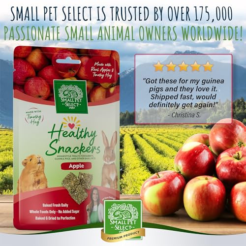Healthy Snackers (2 Ounce (Pack of 1))