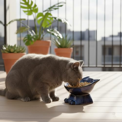 Elevated Cat Bowls (4.5 OZ / Blue & Black)