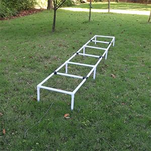 Dogs Agility Training Ladder