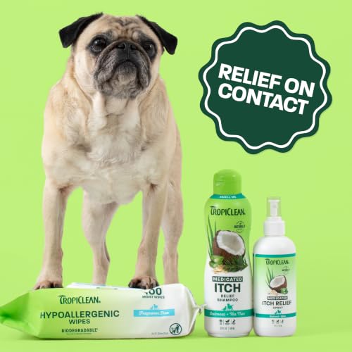 Oatmeal & Medicated Itch Variety Pack