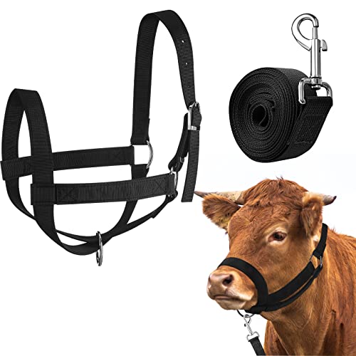 Cow Halter Adjustable with Leading Rope (Small / Black)