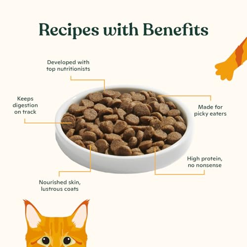 Kitten Dry Kibble Infused with Bone Broth (2 Pound (Pack of 1))