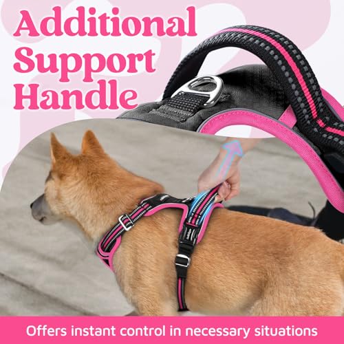 Dog Harness Small Sized (Black & Pink / Small)