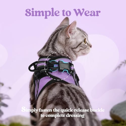 Cat Harness and Leash Set (L / Light Purple)