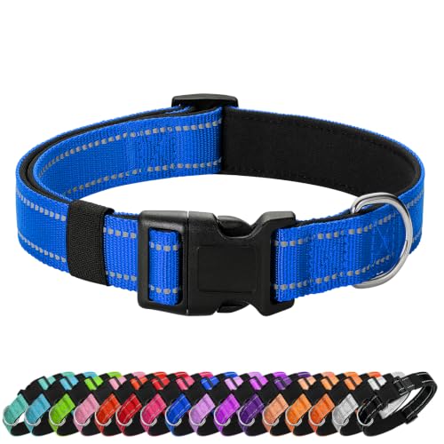 Reflective Dog Collar (Blue / XS:width 5/8"neck 8-10.5")