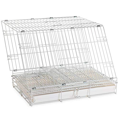 Large Portable Durable Metal Travel or Veterinary Easy Collapsable Parrot Bird Carrier Bite (White)