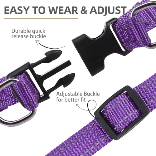 No Pull Dog Harness Small Sized Step (Purple(Reflective) / Small)